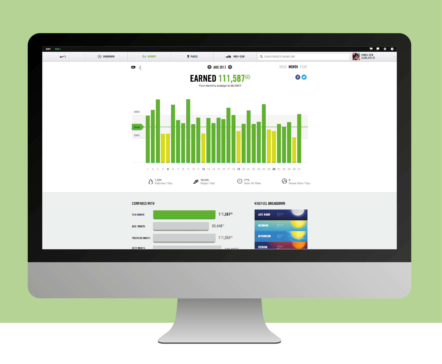 Nike+ Web / Platform activity view, 2013.